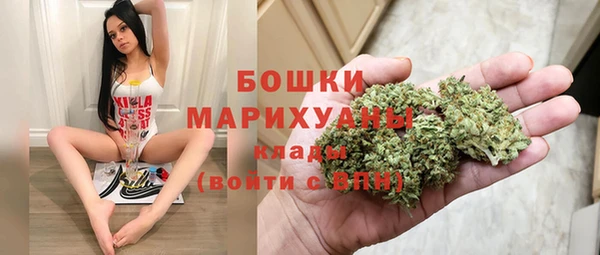 дживик Нязепетровск