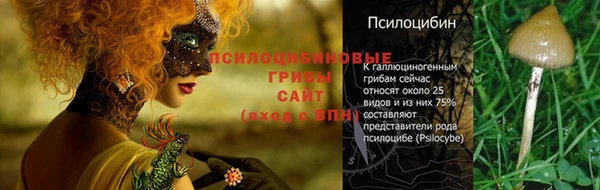 дживик Нязепетровск