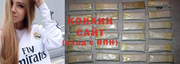 дживик Нязепетровск