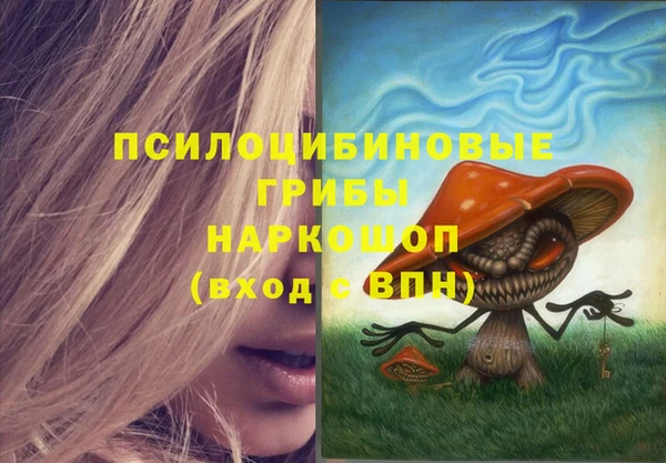 соль курить ск Няндома