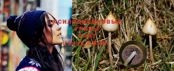 дживик Нязепетровск