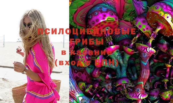 гидропоника Нягань
