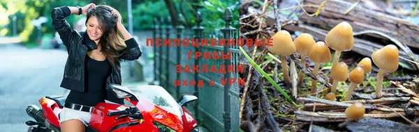 соль курить ск Няндома